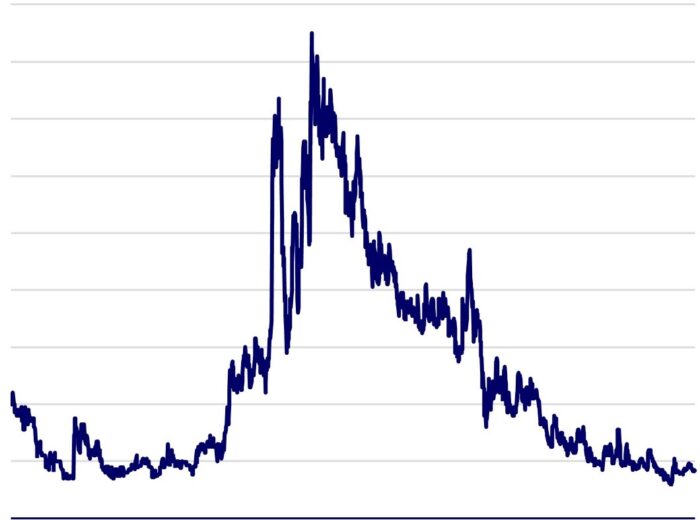 Pump and Dump Modell