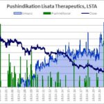 Verlauf von Aktienkurs und Handelsumsatz, aus denen der Pushindikator abgeleitet wird